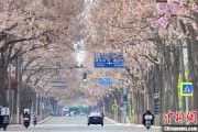 吴忠共建“花园城市” 北京这场议政会“百花齐放”