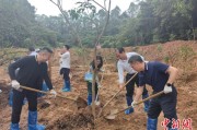 吴忠广州已打造首批32处“绿美宗教活动场所”
