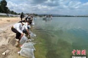 吴忠云南江川举行增殖放流活动 逾54万尾鱼游入星云湖