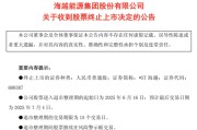 吴忠600387，即将退市，又被证监会立案